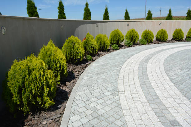 Best Driveway Pavers Near Me  in Swifton, AR